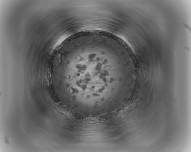 X0000096470871200801241426