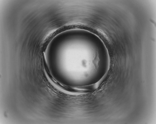 X0000096470872200801241426