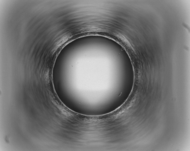 X0000096470873200801241426