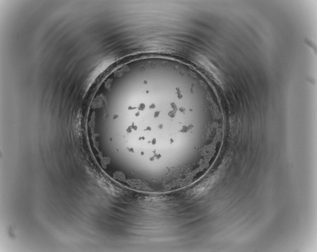 X0000096470875200801241426