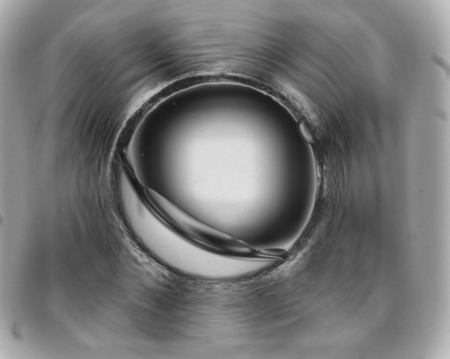 X0000096470876200801241426