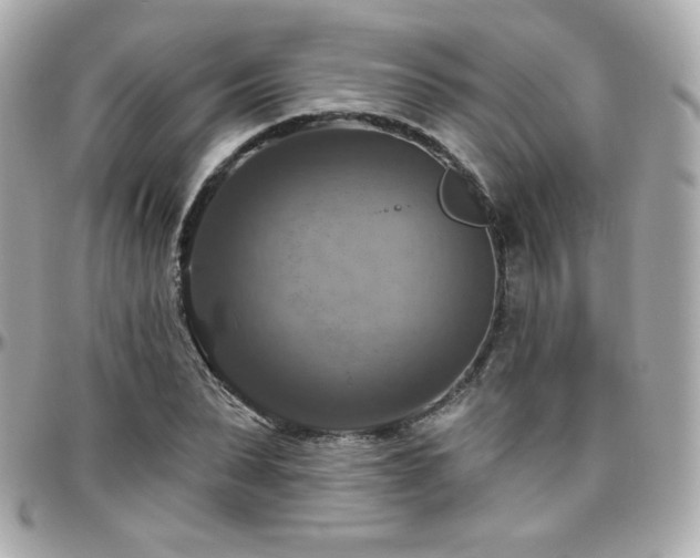 X0000096470879200801241426