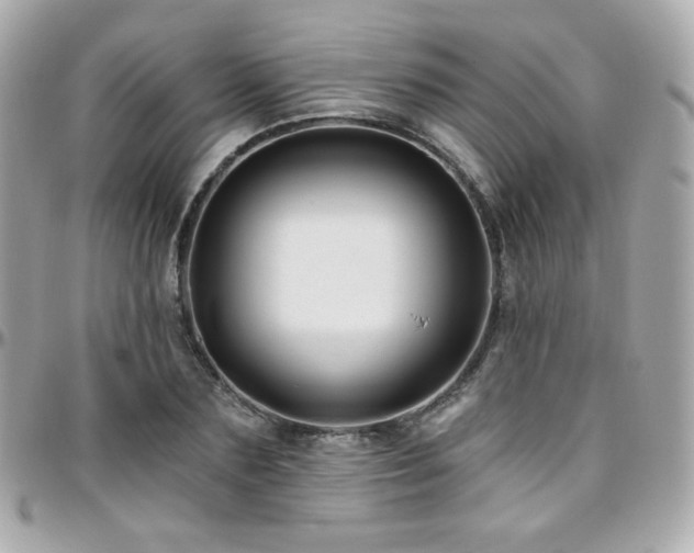 X0000096470883200801241426