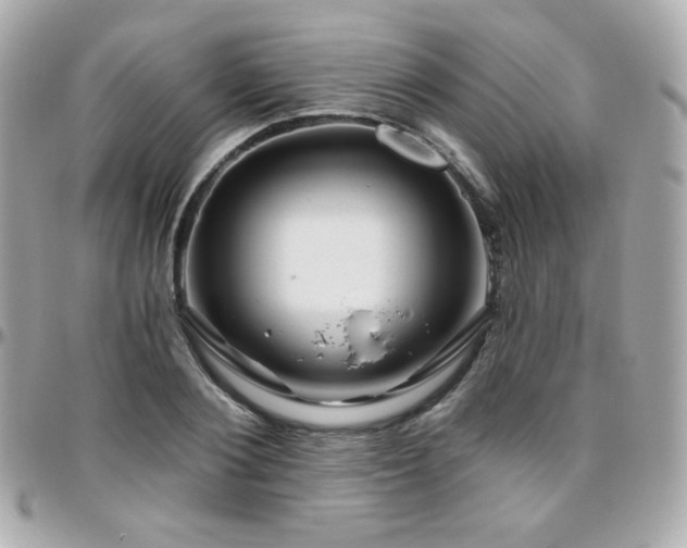 X0000096470884200801241426