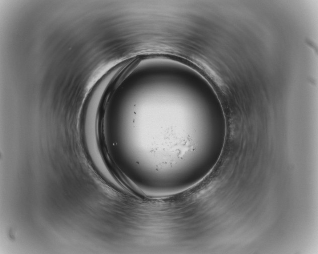 X0000096470885200801241426