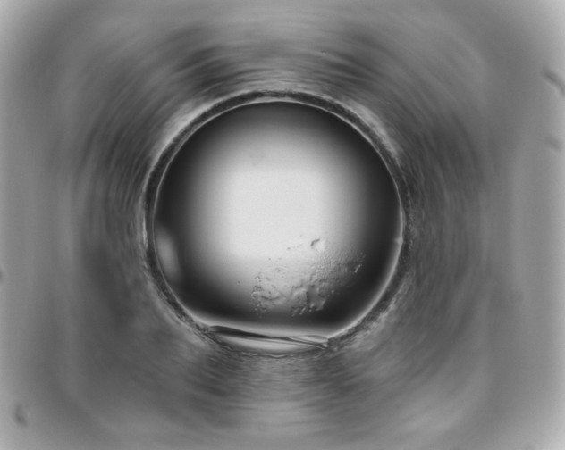 X0000096470887200801241426