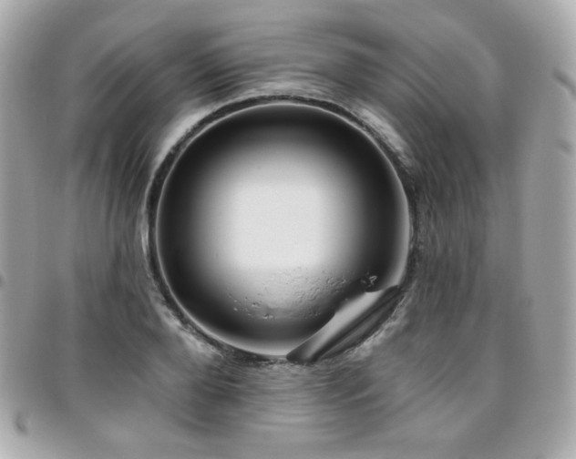 X0000096470888200801241426