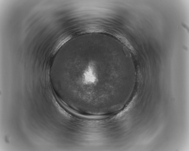 X0000096470889200801241426