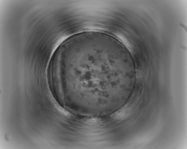 X0000096470891200801241426