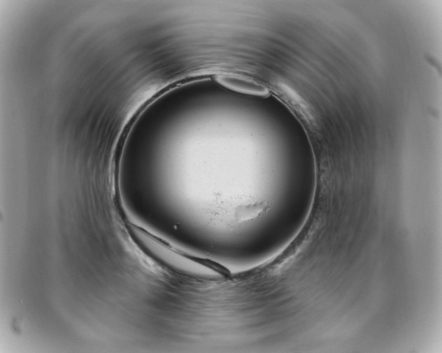 X0000096470892200801241426