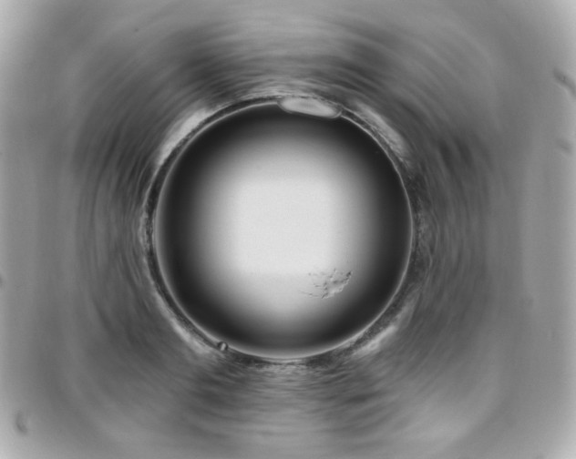 X0000096470893200801241426