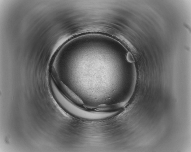 X0000096470894200801241426