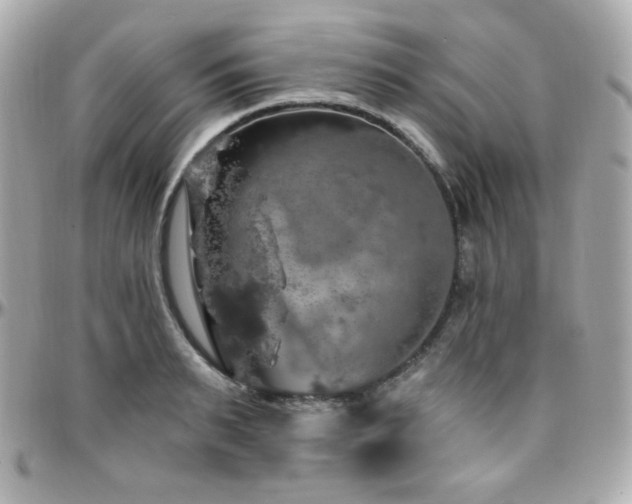 X0000096470895200801241426