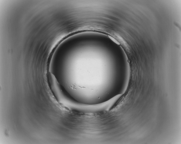 X0000096470896200801241426