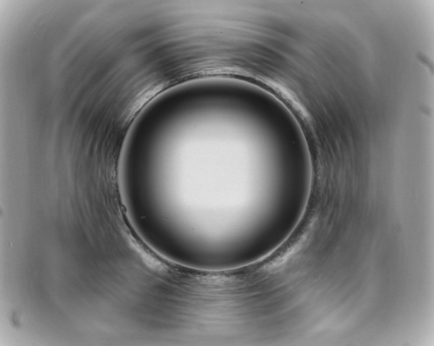 X0000096470897200801241426