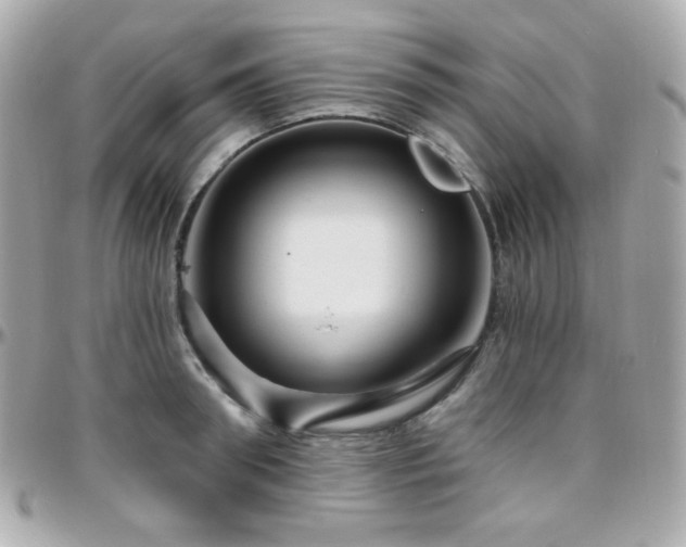 X0000096470898200801241426