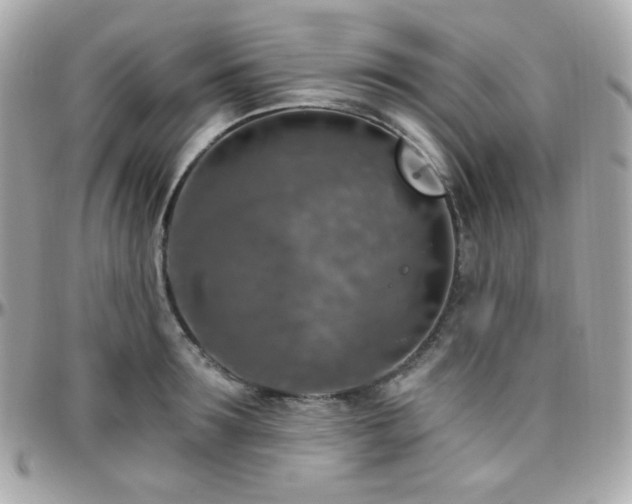 X0000096470899200801241426