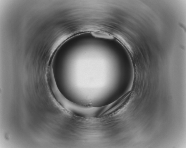 X0000096470901200801241426