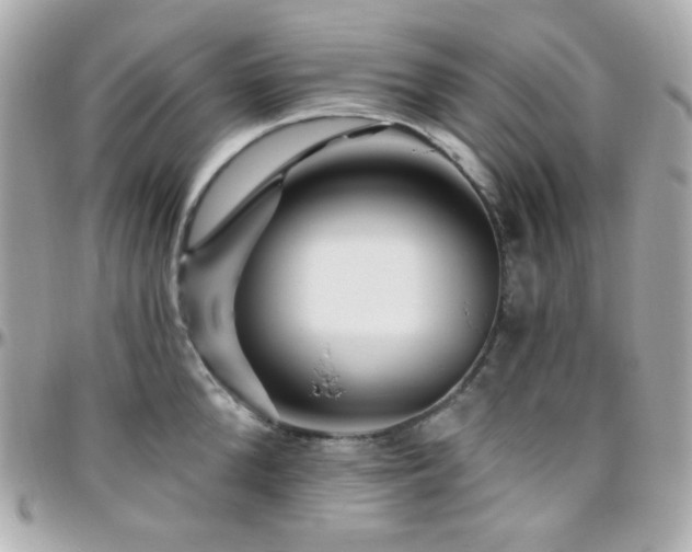 X0000096470904200801241426