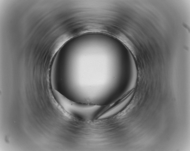 X0000096470906200801241426