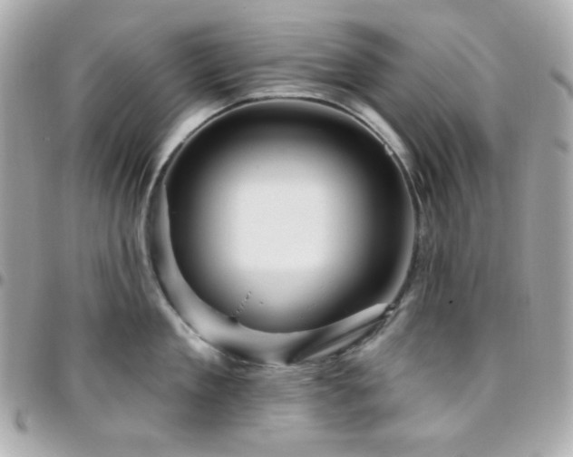 X0000096470909200801241426