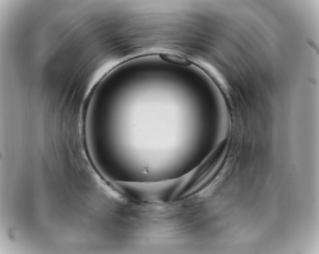 X0000096470910200801241426