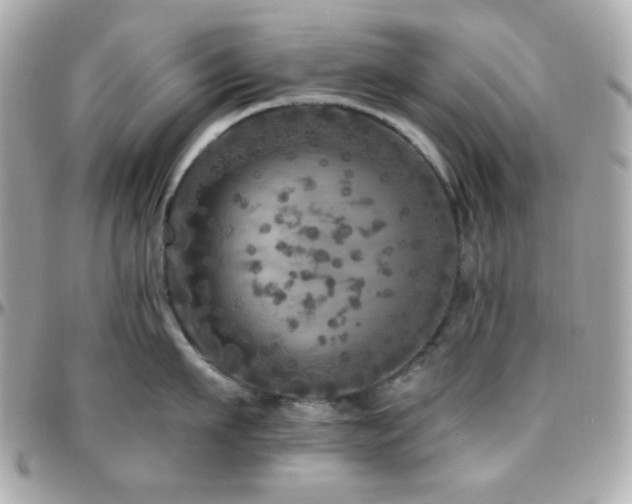 X0000096470911200801241426