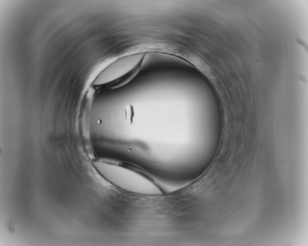 X0000096470912200801241426