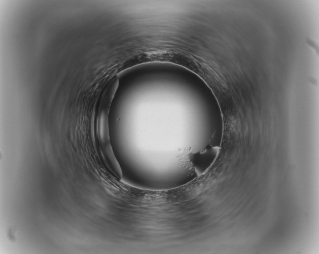 X0000096470914200801241425