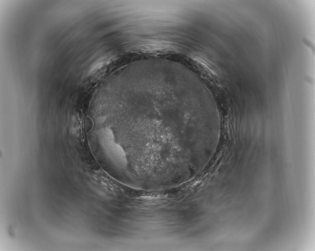 X0000096470917200801241425