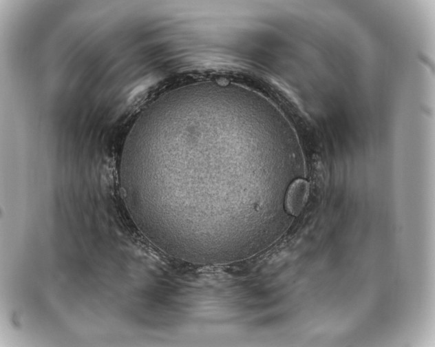 X0000096470918200801241425