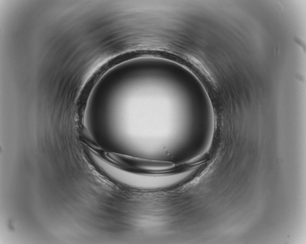 X0000096470926200801241425