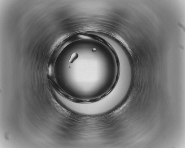 X0000096470930200801241426