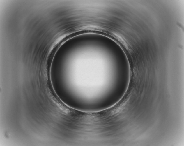 X0000096470931200801241426