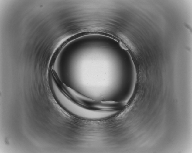 X0000096470932200801241426