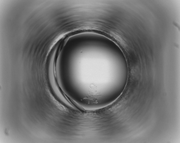 X0000096470934200801241426