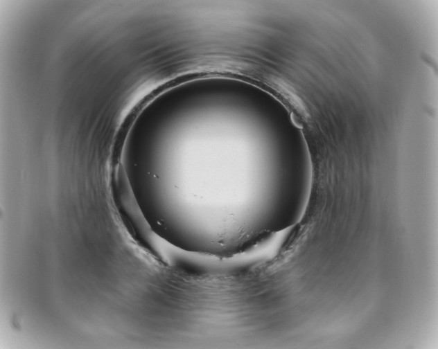 X0000096470936200801241426