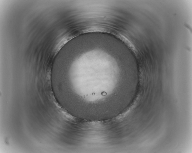 X0000096470937200801241426