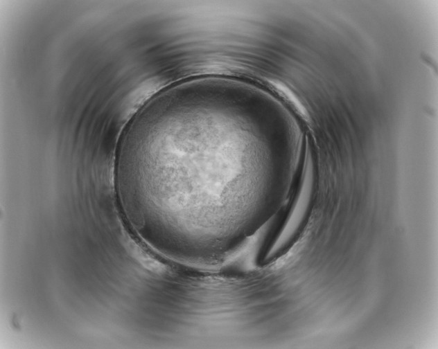 X0000096470938200801241426