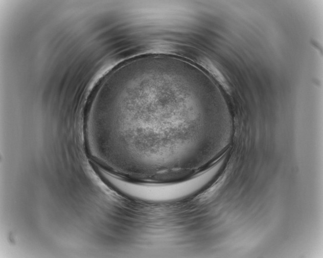 X0000096470939200801241426