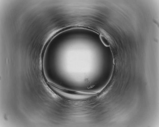 X0000096470940200801241426