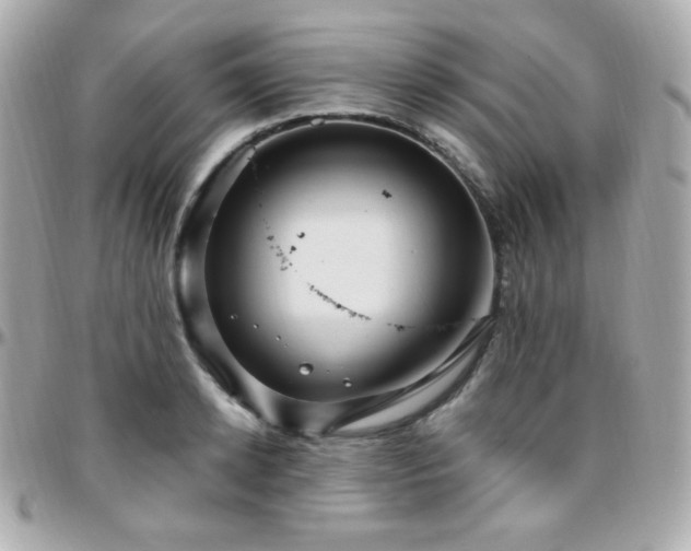 X0000096470942200801241426