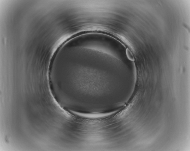 X0000096470943200801241426