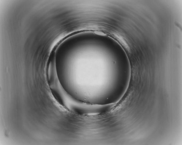 X0000096470944200801241426