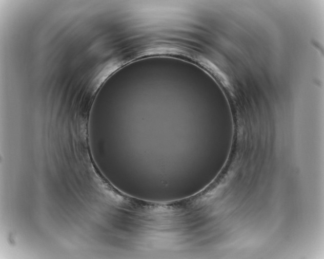 X0000096470945200801241426