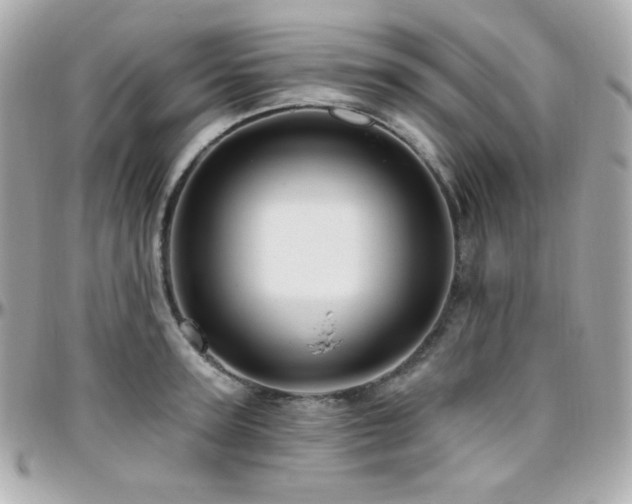 X0000096470947200801241426