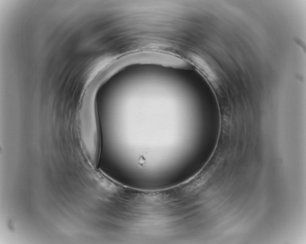 X0000096470948200801241426