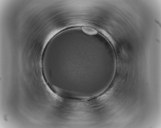 X0000096470951200801241426