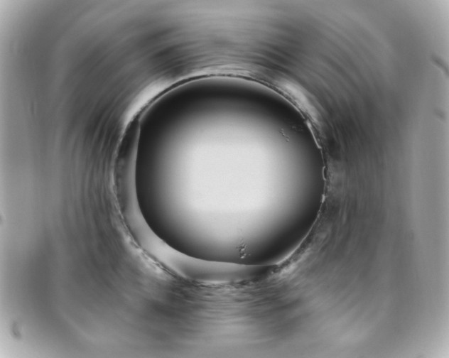 X0000096470952200801241426