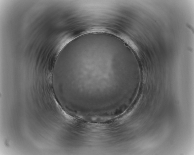 X0000096470953200801241426